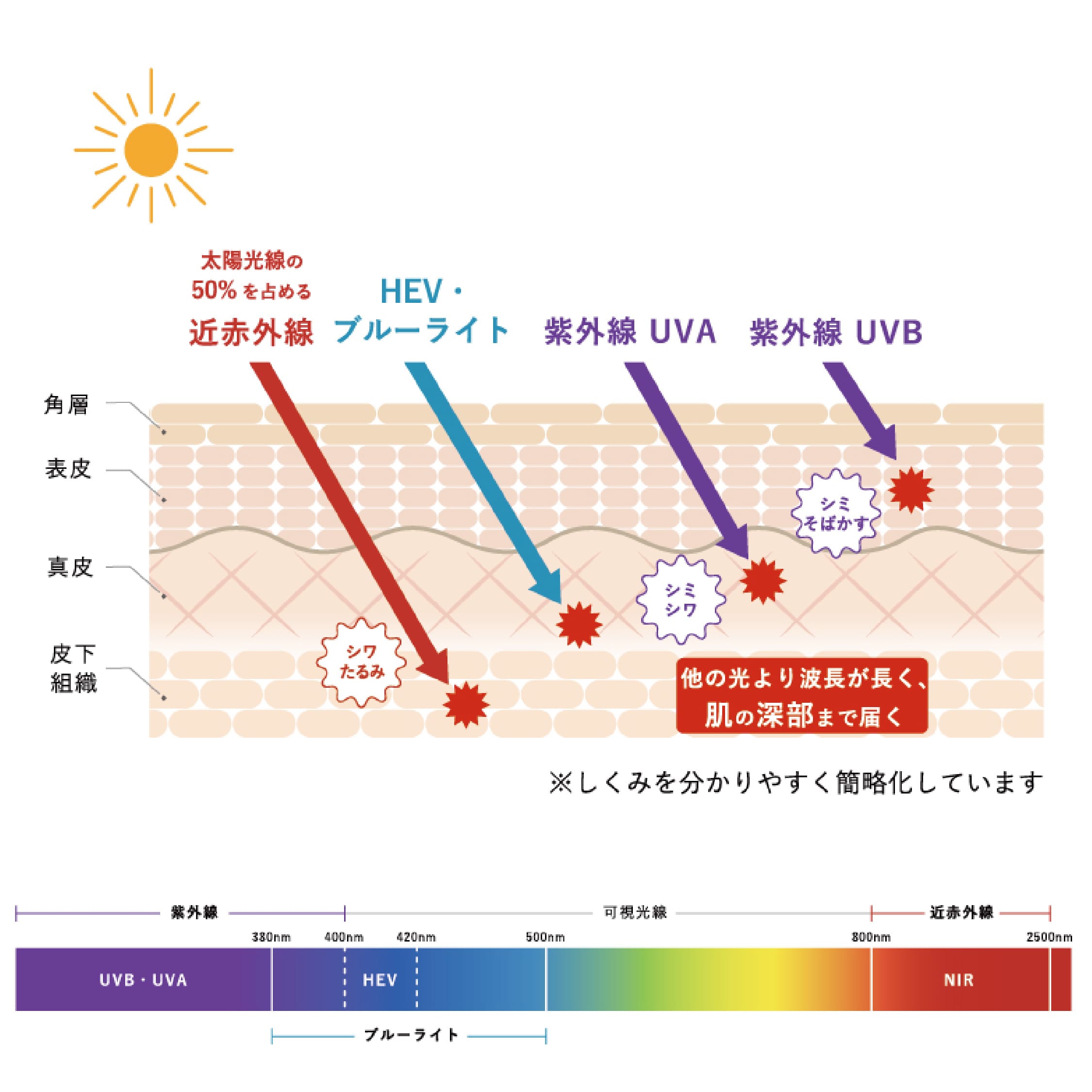 光と日差しのイメージ