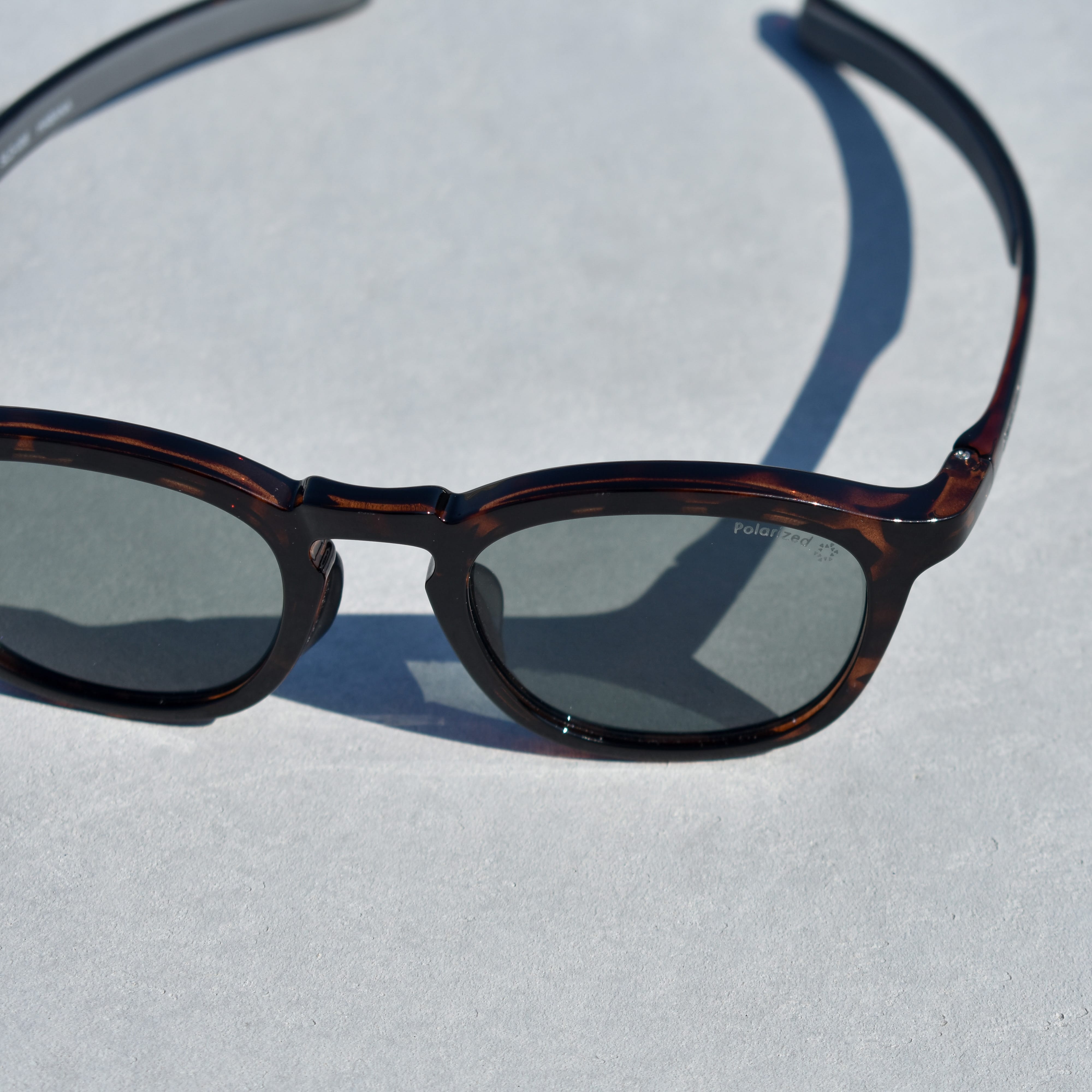 別注パリジャン Havanaフレーム